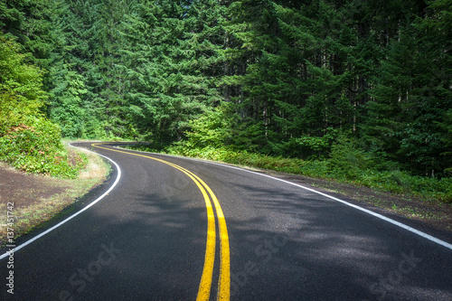 Beautiful Paved Road Meandering Through the Forest - Horizontal