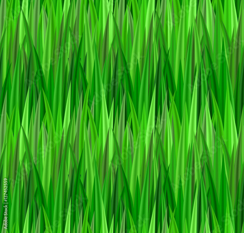 Seamless texture with green grass. Lawn. Vector pattern for your creativity