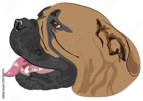 The dog's head with open mouth - vector