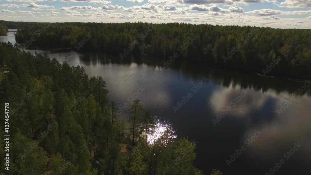 Aerial view of lake in forest 4k