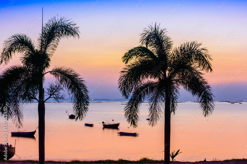 Obraz premium Palm tree on the beach background