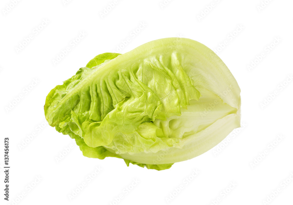 Little gem lettuce Little gem lettuce