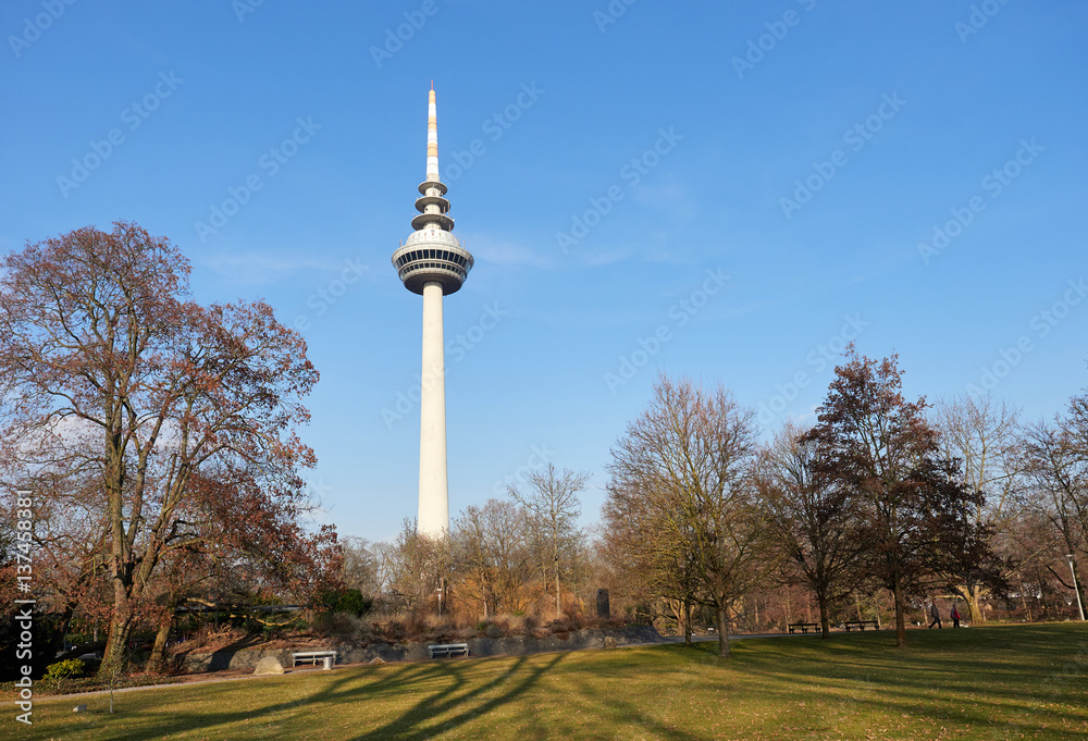 Obraz premium Mannheim: Fernmeldeturm mit Luisenpark