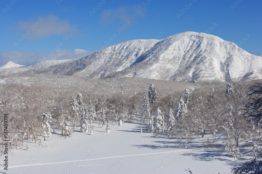 Fototapeta premium 樹氷,雪景色