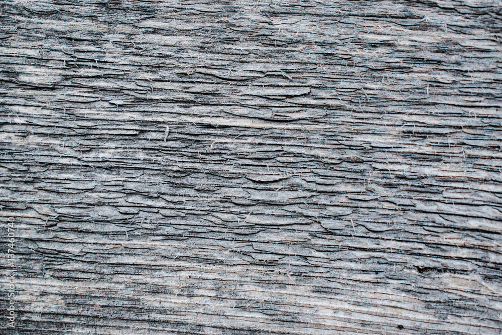 Texture of an old natural wood planks closeup Texture of an old natural wood planks closeup