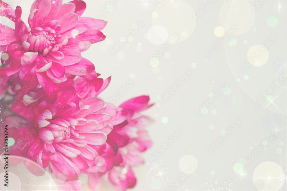 Fototapeta premium Pink flowers greeting card in pastel colors