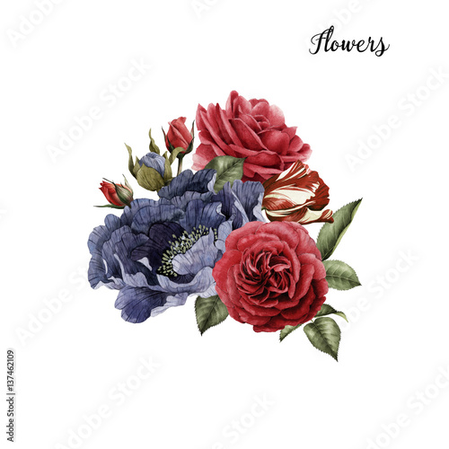 Bouquet of roses  watercolor  can be used as greeting card  invitation card for wedding  birthday and other holiday and  summer background.  