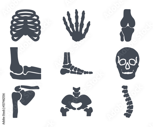 Human Skelton Bones Silhouette Icon photo