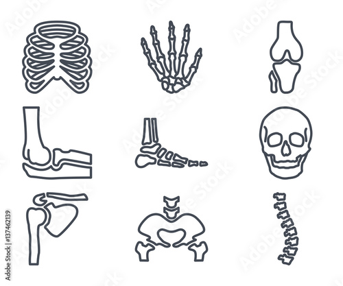 Human Skelton Bones Outline Icon