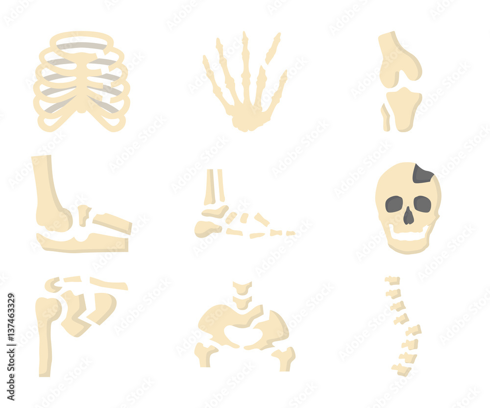 Fototapeta premium Broken Bones Human Skeleton Flat Icon