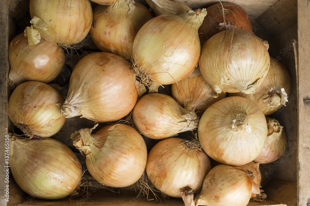 Overhead of Whole Onions in a Wooden Crate
