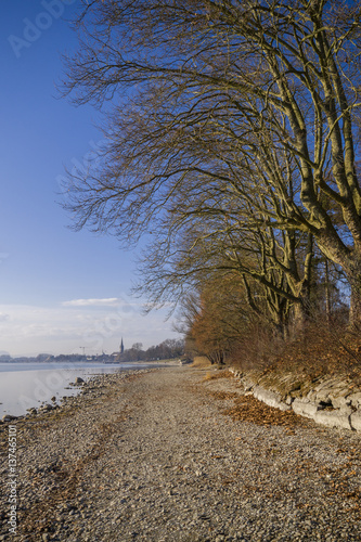 Bäume am Seeufer des schönen Bodensee im Frühjahr mit blauen Himmel