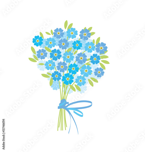 blue tender forget-me-not  ...