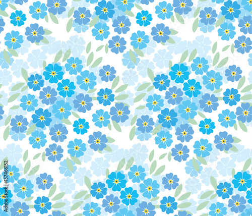 blue tender forget-me-not  ...