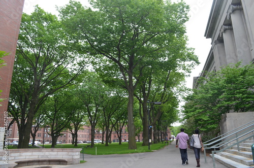Students in College