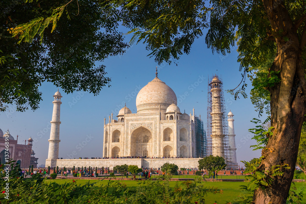 Obraz premium Taj Mahal on a bright and clear day