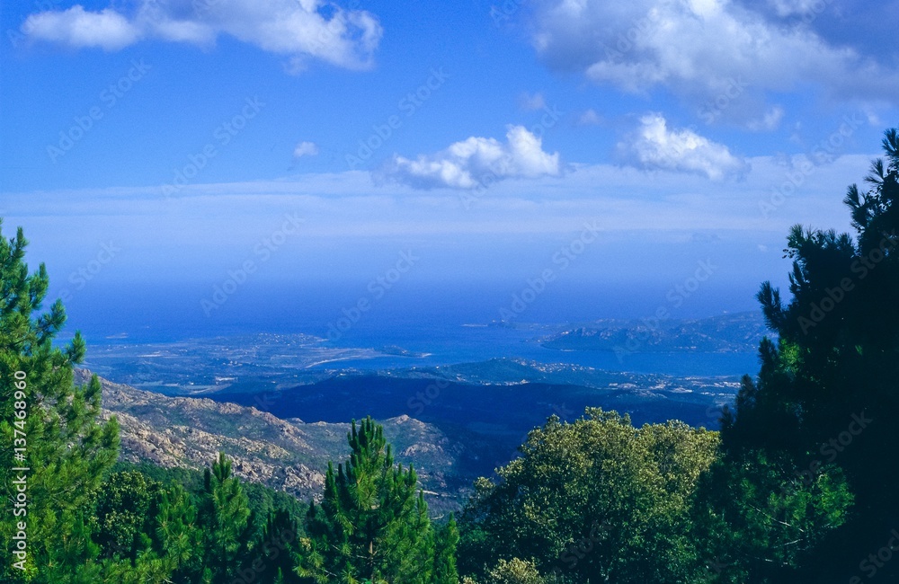 Naklejka wanderung im Wald von L'Ospédale / Forêt de L'Ospédale, Blick