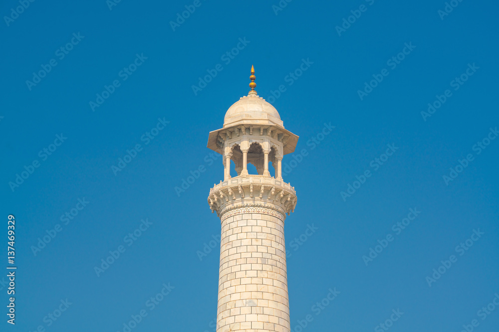 Details of decorations in Taj Mahal