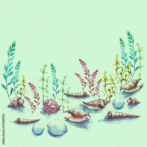 Vintage Watercolor Drawing The Seabed Ocean Sea Illustration With Algae Aquatic Plants Shells Molluscs Sea Inhabitants Aquarium Stock Illustration Adobe Stock Vintage Watercolor Drawing The Seabed Ocean Sea Illustration With Algae Aquatic Plants Shells Molluscs Sea Inhabitants Aquarium Stock Illustration Adobe Stock
