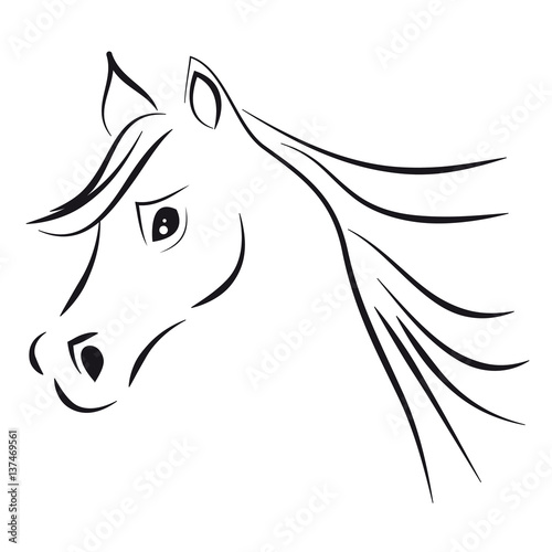 Horse head on white background