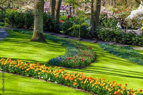 Beautiful garden in spring. Colorful flowers and blossom