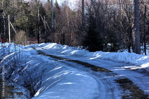 The last snow lying on the road in the spring wood. 