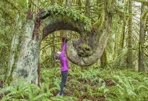 A woman looks up at an old growth seed tree in Cowichan Valley regional park on Vancouver Island; Duncan, British Columbia, Canada
