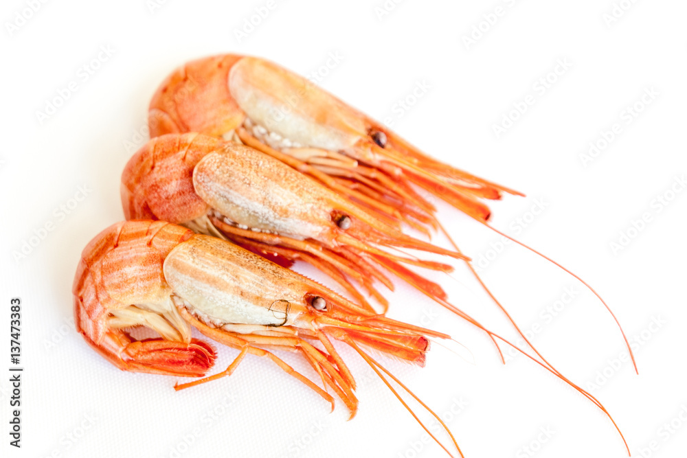 shrimps isolated on white. Steamed shrimp shrimps isolated on white. Steamed shrimp