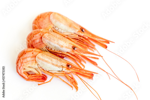 shrimps isolated on white. Steamed  shrimp