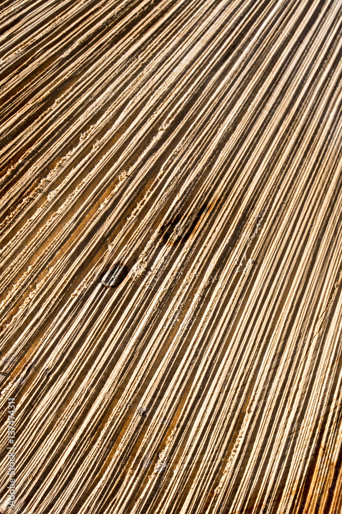 Altholz Textur Altholz Textur