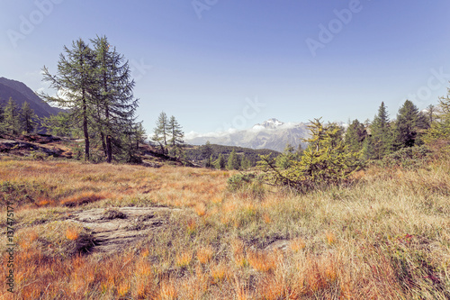 paesaggio alpino