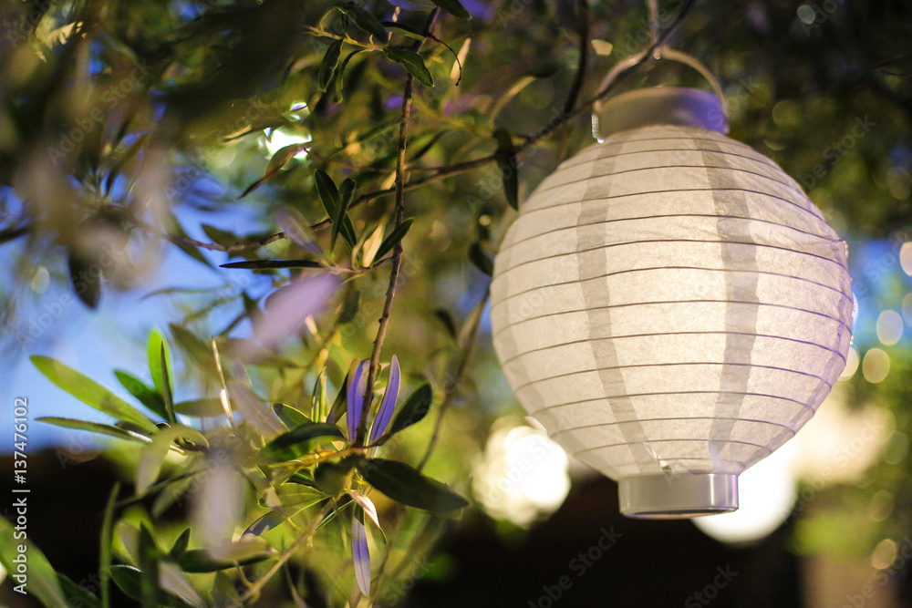 lampadario in carta di riso su un ulivo con sfondo natura e altri lampadari  illuminati Stock Photo | Adobe Stock