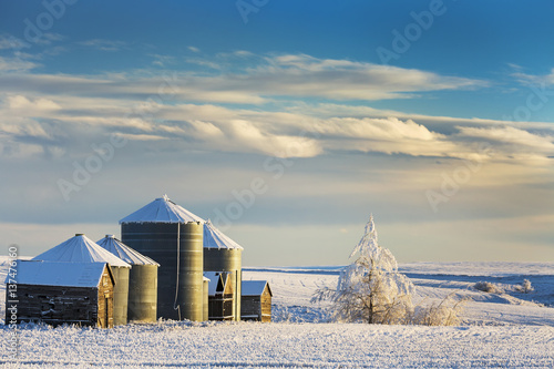 Snow covered metal and wooden grain bins with frosted trees, bushes and stubble with clouds and blue sky; Rosebud, Alberta, Canada photo