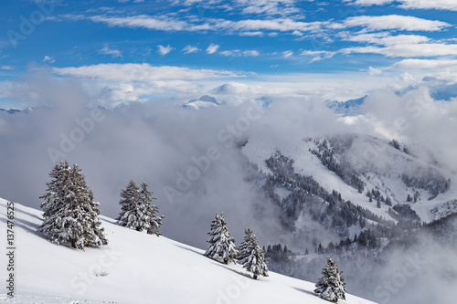 Snow covered landscape with clouds and trees