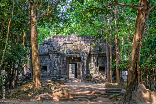 Ta Som jungle temple  Angkor area  Cambodia