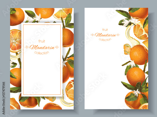 Mandarin vertical banners