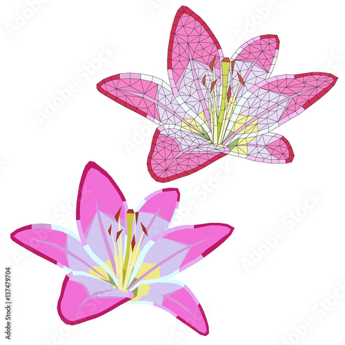 tender mosaic lily on white background. isolated. vector illustration.