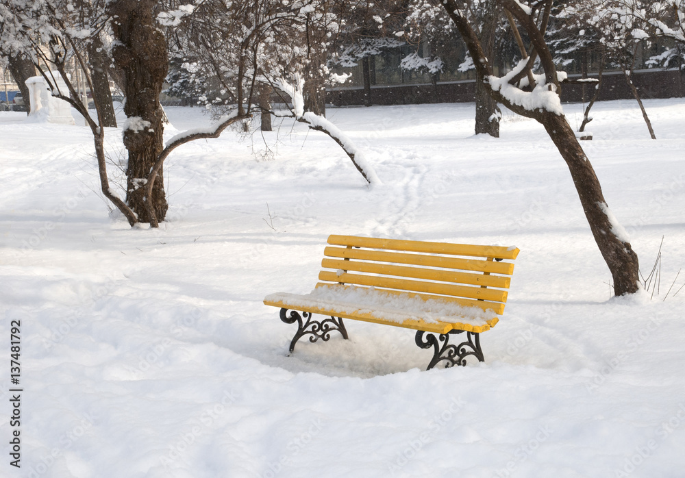 Winter yellow bench