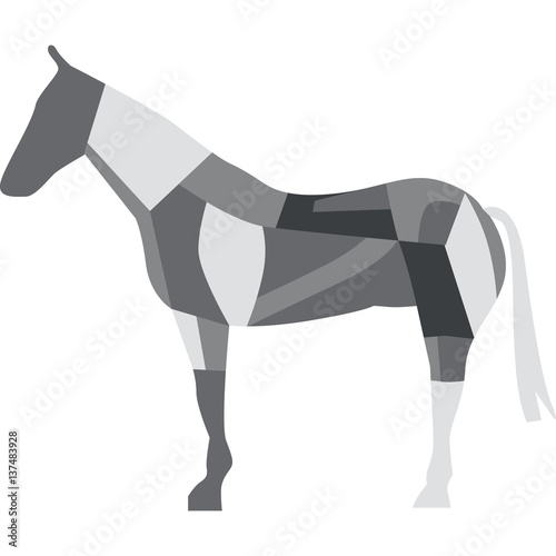 cavallo