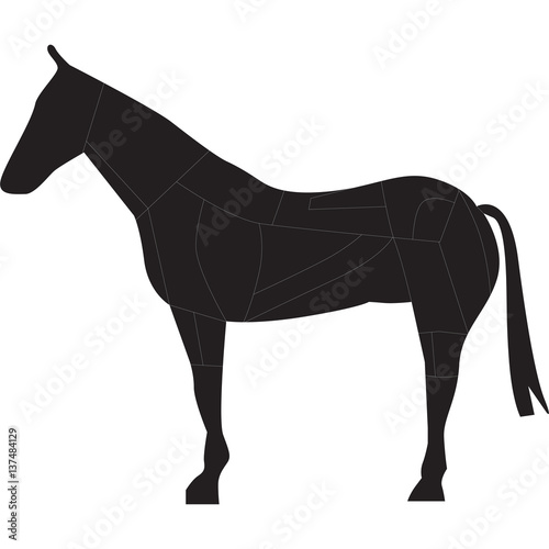 cavallo