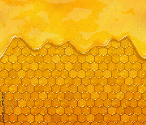 Honeycombs and flowing honey, vector background.