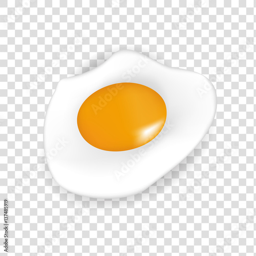 Fried egg isolated on transparent background, food ingredients, vector design