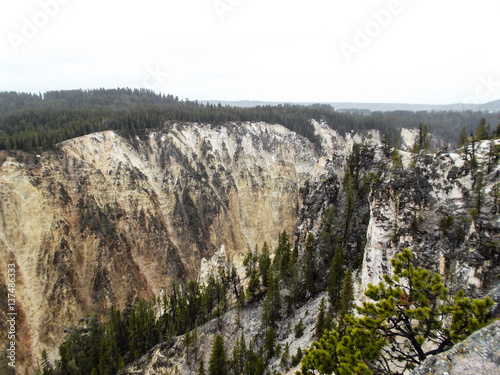 Landscape of canyon and forest in Yellowstone national park USA