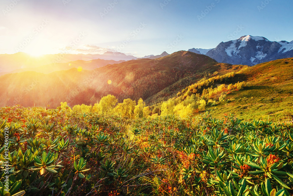 Fototapeta premium Autumn landscape and snow-capped mountain peaks. Carpathians. Ukraine. Europe
