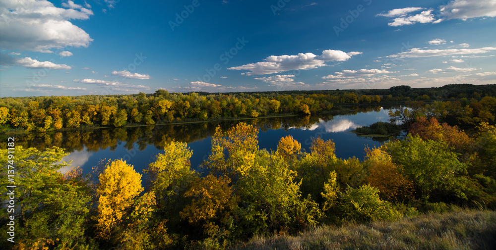 Forest on the banks of large river in autumn