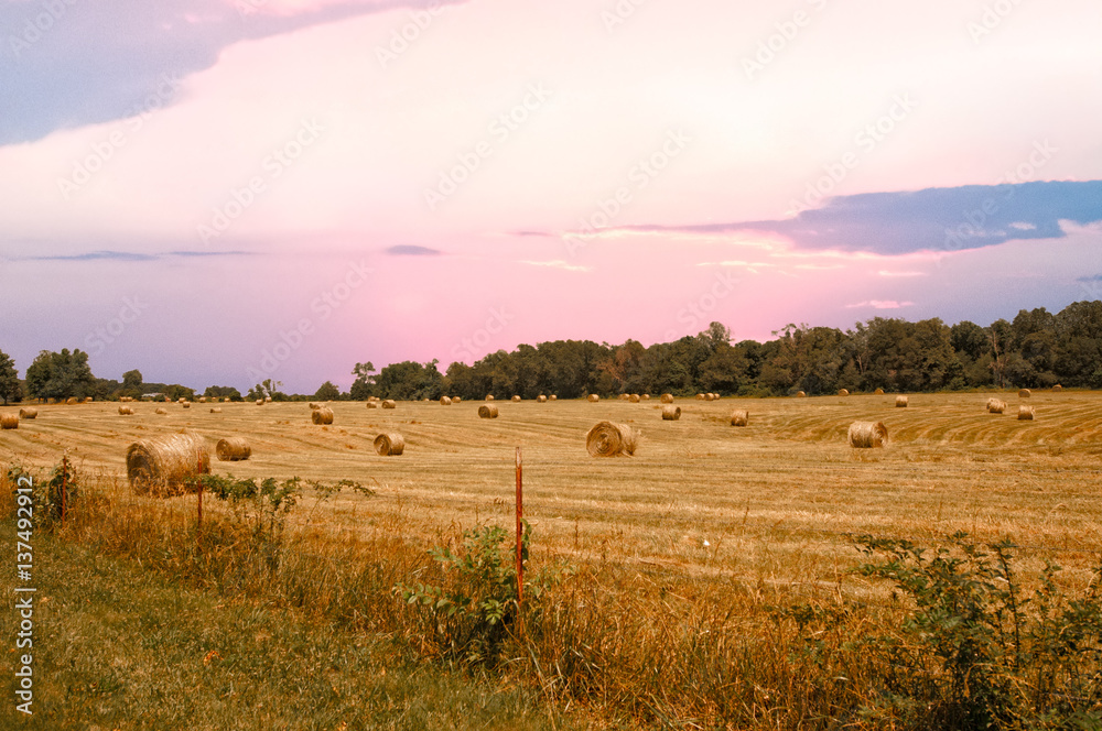 Rural Alabama sunset of a hay field