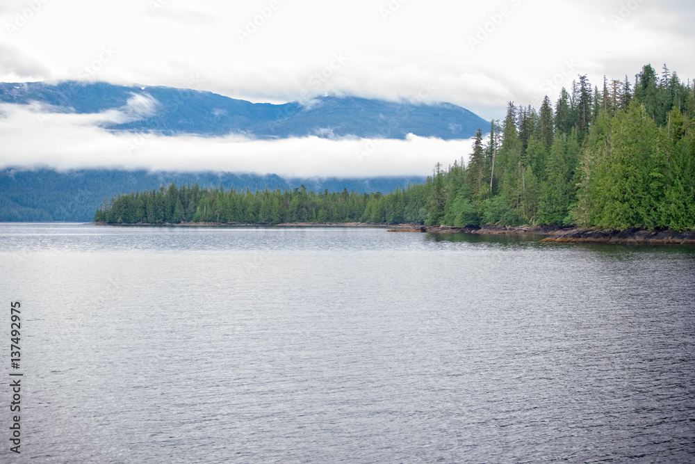 Tongass Nation Forest  fjord near Ketchikan Alaska