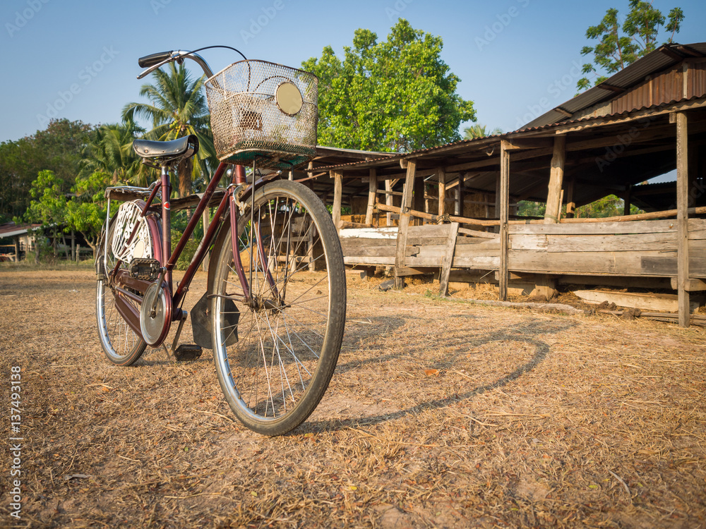 Vintage bicycle in the farm