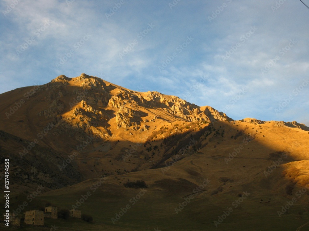 Fototapeta premium desert