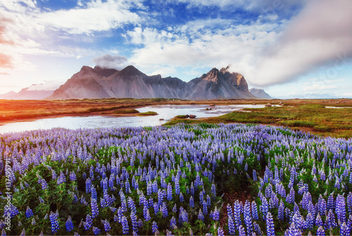 The picturesque landscapes forests and mountains of Iceland.